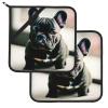 8 x 8in Adorable French Bulldog Print Hot Pads Sets, Non Slip Heat Resistant Pot Holder, for Baking Cooking Kitchen view 2