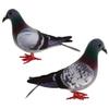 LOGOFUN 2 Pcs Realistic Foam Pigeon Artificial Pigeon Figurine Fake Dove Model for Home Garden Lawn Backyard Decoration view 1