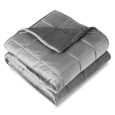 Bare Home Weighted Blanket Twin or Full Size 10lb (40" x 60") - Minky Fleece - Premium Heavy Blanket Nontoxic Glass Beads (Light Grey, 40"x60")