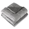 Bare Home Weighted Blanket Twin or Full Size 10lb (40" x 60") - Minky Fleece - Premium Heavy Blanket Nontoxic Glass Beads (Light Grey, 40"x60") view 1