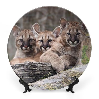 Animal Lion Baby Decorative Plate, Ceramic Wall Decor Plate, Decorative Plate W/Stand, Home Decoration Round Display Plate, Porcelain Ornament Wall Art, Housewarming Gift, 6"