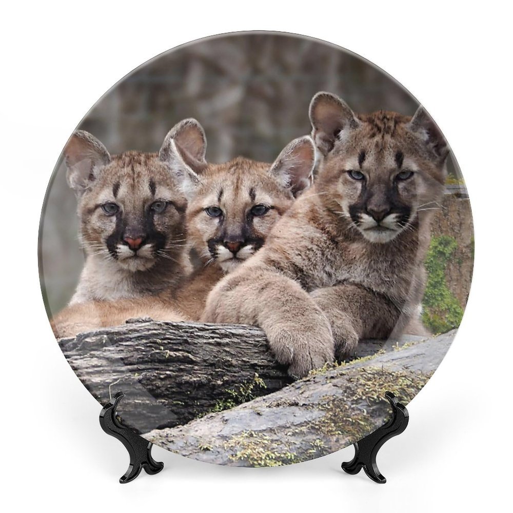 Animal Lion Baby Decorative Plate, Ceramic Wall Decor Plate, Decorative Plate W/Stand, Home Decoration Round Display Plate, Porcelain Ornament Wall Art, Housewarming Gift, 6"