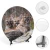 Animal Lion Baby Decorative Plate, Ceramic Wall Decor Plate, Decorative Plate W/Stand, Home Decoration Round Display Plate, Porcelain Ornament Wall Art, Housewarming Gift, 6" view 4