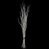 Uniquewise 12 pcs Natural Decorative Dry Branches Authentic Willow Sticks, Home Decoration and Wedding Craft 59 in, Peeled White, DIY Greenery Plants Craft Vases fillers Garden Hotel Farmhouse Decor. view 1