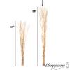 Uniquewise 12 pcs Natural Decorative Dry Branches Authentic Willow Sticks, Home Decoration and Wedding Craft 59 in, Peeled White, DIY Greenery Plants Craft Vases fillers Garden Hotel Farmhouse Decor. view 3