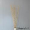 Uniquewise 12 pcs Natural Decorative Dry Branches Authentic Willow Sticks, Home Decoration and Wedding Craft 59 in, Peeled White, DIY Greenery Plants Craft Vases fillers Garden Hotel Farmhouse Decor. view 4