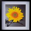 Picture Frame Set of 2. 2-3/16" Polystyrene Shadow Box Black 20x26 Wholesaleartsframes-com 2880 Series Made in USA view 4