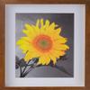 Picture Frame Set of 4. 2-3/16" Polystyrene Shadow Box Walnut 11x16 Wholesaleartsframes-com 2880 Series Made in USA view 4