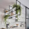 Drsyffsup Acrylic Floating Shelves Ceiling Mount | European Style Storage Rack Industrial Hanging Shelf | Wall Decor Shelf Flower Stand | 2-Layer/Easy to Install (Size : 80x30x80cm) view 1