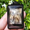 Large Size, Thai Amulet Fortune Great Snake Spur Powerful Success Rich Gambling Superb view 4