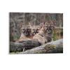 11"x14" Canvas Wall Art Animal Lion Baby Canvas Pictures Modern Poster Prints Framed Minimalist Artwork for Dining Room Bedroom Bathroom Home Decorations Housewarming Gift view 1