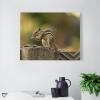 8"x10" Canvas Wall Art, Squirrel Animal Chipmunks Picture Prints, Rustic Modern Wall Decor Artwork, Farmhouse Kitchen Canvas Painting, Ready to Hang, Home Office Decor Art Print view 3