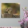 8"x10" Canvas Wall Art, Squirrel Animal Chipmunks Picture Prints, Rustic Modern Wall Decor Artwork, Farmhouse Kitchen Canvas Painting, Ready to Hang, Home Office Decor Art Print view 4