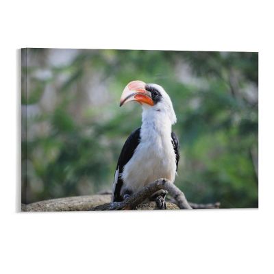 Modern Wall Decor Poster Prints Bird Hornbill Canvas Framed Wall Art Farmhouse Painting Artwork for Home Laundry Room Bedroom Bathroom Xmas Holiday Decoration 11"x17"