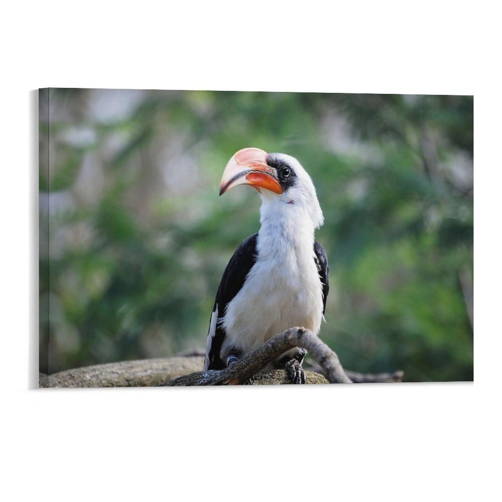Modern Wall Decor Poster Prints Bird Hornbill Canvas Framed Wall Art Farmhouse Painting Artwork for Home Laundry Room Bedroom Bathroom Xmas Holiday Decoration 11"x17"