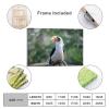 Modern Wall Decor Poster Prints Bird Hornbill Canvas Framed Wall Art Farmhouse Painting Artwork for Home Laundry Room Bedroom Bathroom Xmas Holiday Decoration 11"x17" view 2