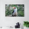 Modern Wall Decor Poster Prints Bird Hornbill Canvas Framed Wall Art Farmhouse Painting Artwork for Home Laundry Room Bedroom Bathroom Xmas Holiday Decoration 11"x17" view 3