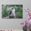 Modern Wall Decor Poster Prints Bird Hornbill Canvas Framed Wall Art Farmhouse Painting Artwork for Home Laundry Room Bedroom Bathroom Xmas Holiday Decoration 11"x17" view 4