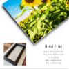 Country Wall Art (Ready to Hang) Metal Print of Sunflowers Standing Tall in Sunflower Field on Late Summer Day in Kansas Botanical Photography Nature Decor (8" x 12") view 2
