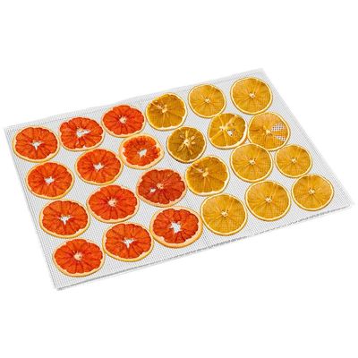 Non Stick Dehydrator Sheets for Fruit, Reusable Dehydrator Sheets, Easy to, 5 Pack, Dishwasher (White)