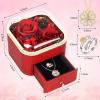 Fanadith Preserved Roses with Necklace & Ring, Eternal Roses, Real Rose Gifts for Mom Wife Girlfriend, Valentines Day Gifts for Her, Mothers Day Anniversary Christmas Birthday Gifts for Women (Red) view 4