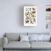Trademark Fine Art Canvas Wall Art - Wild Apple Portfolio 'Le Jardin des Plantes' Wall Art for Living Room, Bedroom, or Office Dcor 16 x 24 Inches view 2