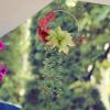 GANAZONO Hanging Simulated Wreath for Indoor and Outdoor Decor Greenery Garland for Wedding and Party Decoration view 4
