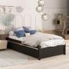 Twin Size Country Platform Bed Frames with 2 Storage Drawers, Modern Simple Platform Bed with Solid Wood Slat, Space Saving for Bedroom Small Living Space Boys Girls Adults Teens (Espresso) view 4