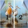 Rustic Seabird Window Film Privacy Brown Bird Modern Animal Stained Glass Window Film Sun Blocking Decorative Window Covering Film for Home Office 35.4Wx63L-inch x2 Pcs view 3