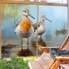 Rustic Seabird Window Film Privacy Brown Bird Modern Animal Stained Glass Window Film Sun Blocking Decorative Window Covering Film for Home Office 35.4Wx63L-inch x2 Pcs view 4