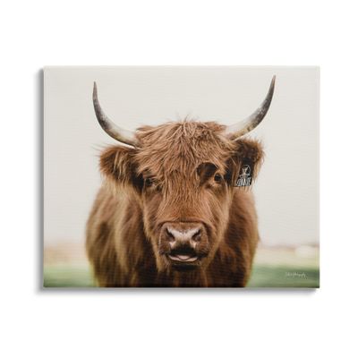 Stupell Industries Farmhouse Cattle Photography Canvas Wall Art by Dakota Diener