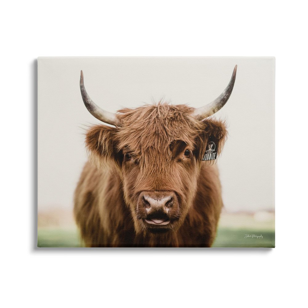Stupell Industries Farmhouse Cattle Photography Canvas Wall Art by Dakota Diener