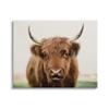 Stupell Industries Farmhouse Cattle Photography Canvas Wall Art by Dakota Diener view 1