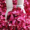 AMPUTEE 500g Natural Dried Flower Petals Organic Rose Peony Petals Wedding Bath Shower (Color : 250g Rose 250g penoy Petal) view 4