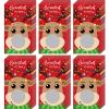 60 Pieces Christmas Scratch Off Cards Stickers Christmas Party Games Blank Gift Certificate for Festive Raffle Tickets 3.5 x 2.1 inch Deer Party Favors Games Supplies view 1