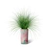 Artificial Tree in Contemporary Planter, Fake Onion Grass Silk Trees for Indoor and Outdoor Home Decoration - 55" Overall Tall (Plant Pot Plus Tree) view 2