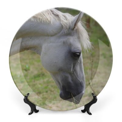 Wildlife Animal Horse Decorative Plate, Ceramic Wall Decor Plate, Decorative Plate W/Stand, Home Decoration Round Display Plate, Porcelain Ornament Wall Art, Housewarming Gift, 8"