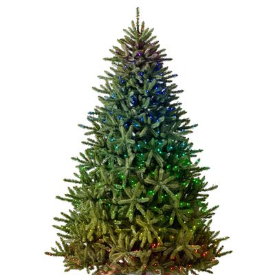 Balsam Hill 9.5ft Pre-Lit Classic Blue Spruce - Artificial Christmas Tree with 5,248+ Tips, Twinkly LED Smart Lights, Easy Plug System & Premium Stand for Indoor Holiday Decorating