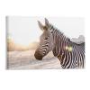 Modern Wall Decor Poster Prints Zebra Animal Wildlife Canvas Framed Wall Art Farmhouse Painting Artwork for Home Laundry Room Bedroom Bathroom Xmas Holiday Decoration 11"x17" view 1