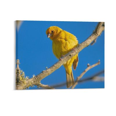 11"x14" Canvas Wall Art Yellow Bird Canvas Pictures Modern Poster Prints Framed Minimalist Artwork for Dining Room Bedroom Bathroom Home Decorations Housewarming Gift