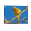 11"x14" Canvas Wall Art Yellow Bird Canvas Pictures Modern Poster Prints Framed Minimalist Artwork for Dining Room Bedroom Bathroom Home Decorations Housewarming Gift view 1