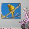 11"x14" Canvas Wall Art Yellow Bird Canvas Pictures Modern Poster Prints Framed Minimalist Artwork for Dining Room Bedroom Bathroom Home Decorations Housewarming Gift view 4