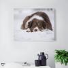 11"x14" Canvas Wall Art, Australian Shepherd Dog in Snow Picture Prints, Rustic Modern Wall Decor Artwork, Farmhouse Kitchen Canvas Painting, Ready to Hang, Home Office Decor Art Print view 3