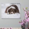 11"x14" Canvas Wall Art, Australian Shepherd Dog in Snow Picture Prints, Rustic Modern Wall Decor Artwork, Farmhouse Kitchen Canvas Painting, Ready to Hang, Home Office Decor Art Print view 4