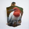 CAPITUNEISKINEPA Bird Blanket Gifts Blanket for Bed Twin Bed Blanket 60" x 80" view 4