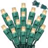LAMPHOME 600LED (12pk of 50L) String Lights,Twinkle, LED Christmas Lights, 6" SPACING,Green Wire,Warm White view 1
