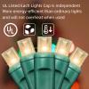 LAMPHOME 600LED (12pk of 50L) String Lights,Twinkle, LED Christmas Lights, 6" SPACING,Green Wire,Warm White view 2