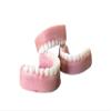 Fake Teeth Wax Melts, Halloween wax tarts, False dentures, Scented funny melts, Decorations, Over the Hill Birthday, Spooky Decor, Gag Gift (Drakkar) view 3