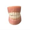 Fake Teeth Wax Melts, Halloween wax tarts, False dentures, Scented funny melts, Decorations, Over the Hill Birthday, Spooky Decor, Gag Gift (Drakkar) view 4