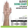 KLEEN CHEF 1050 PCS Plastic Disposable Gloves Large | Clear Disposable Gloves for Food Prep, Cooking, Cleaning, Food Handling view 3